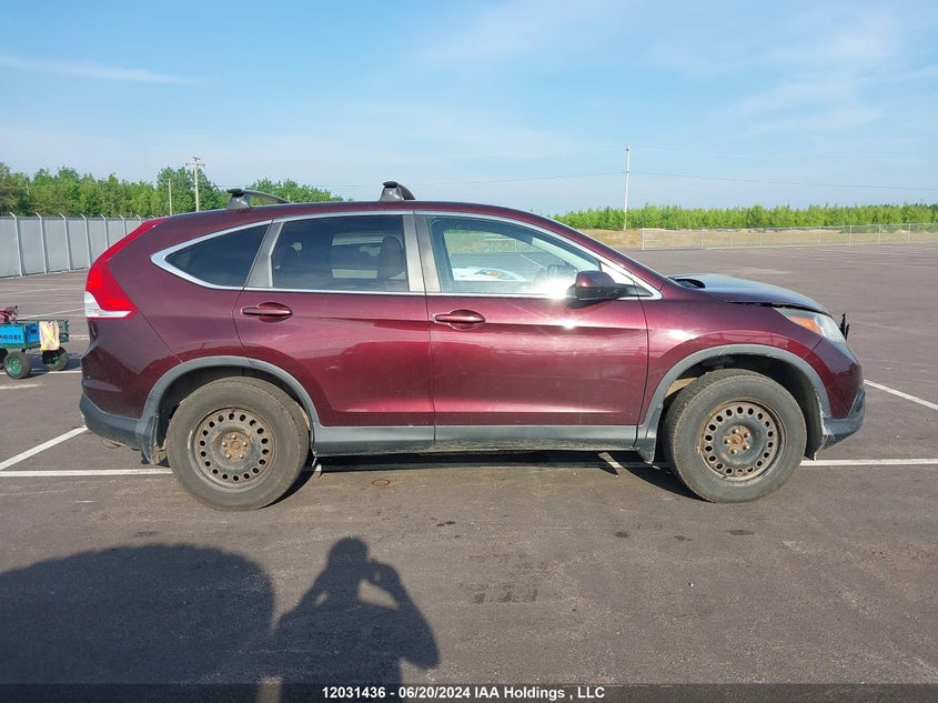 2014 Honda Cr-V VIN: 2HKRM4H56EH124982 Lot: 12031436