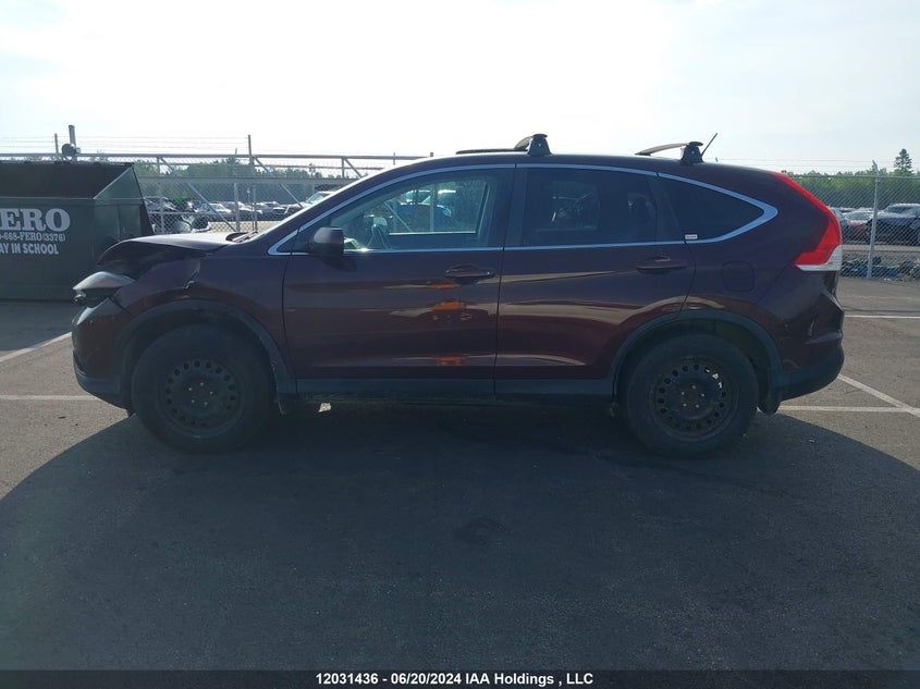 2014 Honda Cr-V VIN: 2HKRM4H56EH124982 Lot: 12031436