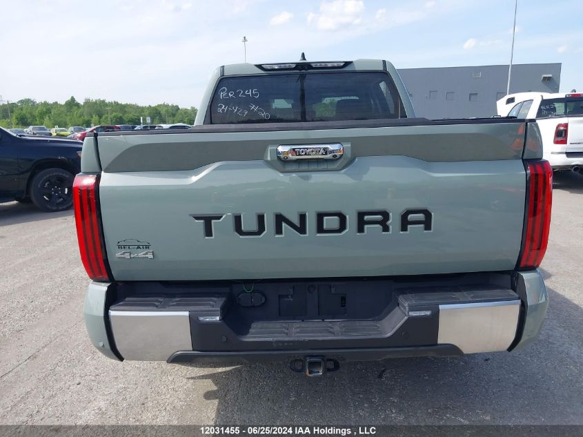 2023 Toyota Tundra VIN: 5TFJA5DB4PX127510 Lot: 12031455