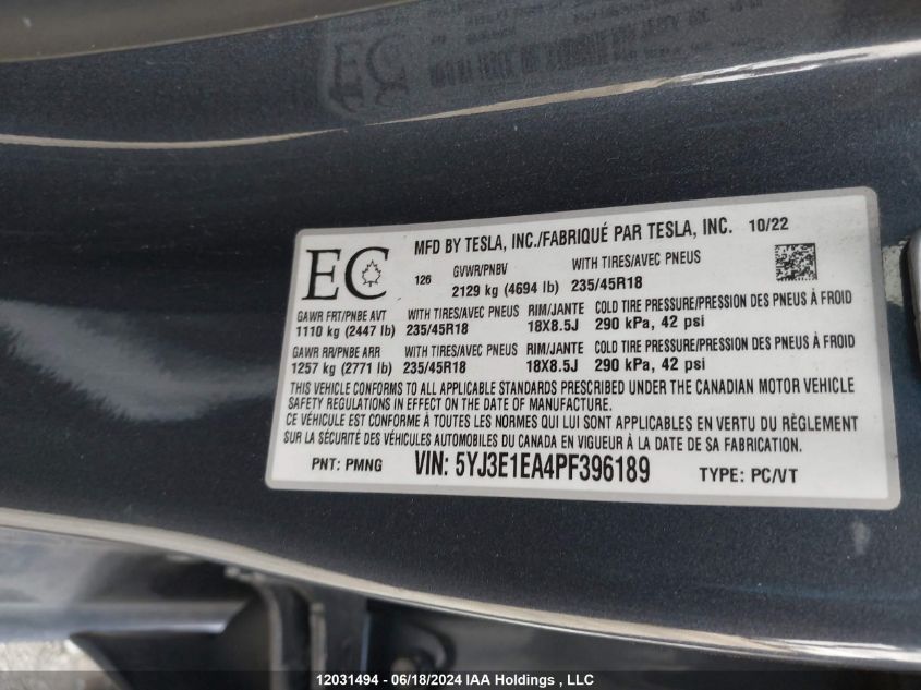 2023 Tesla Model 3 VIN: 5YJ3E1EA4PF396189 Lot: 12031494