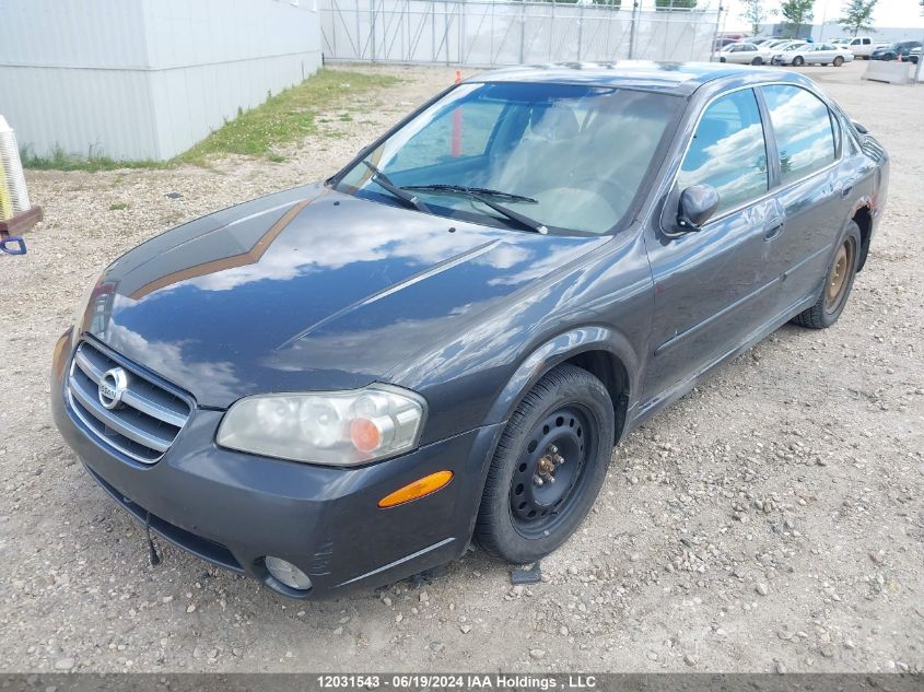 2002 Nissan Maxima Gle/Se VIN: JN1DA31A02T302660 Lot: 12031543