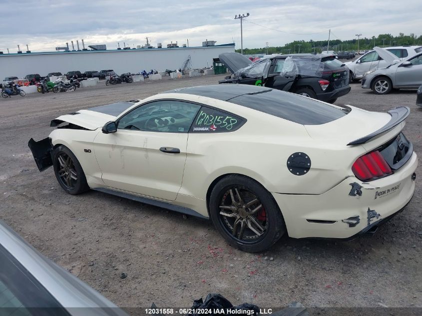 2016 Ford Mustang Gt VIN: 1FA6P8CF4G5300633 Lot: 12031558