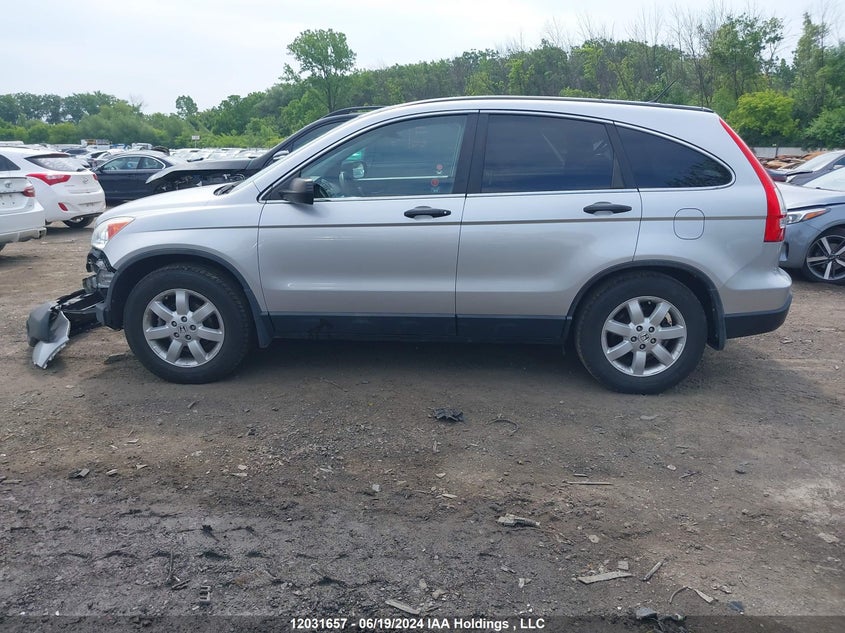 2009 Honda Cr-V VIN: 5J6RE48579L811641 Lot: 12031657