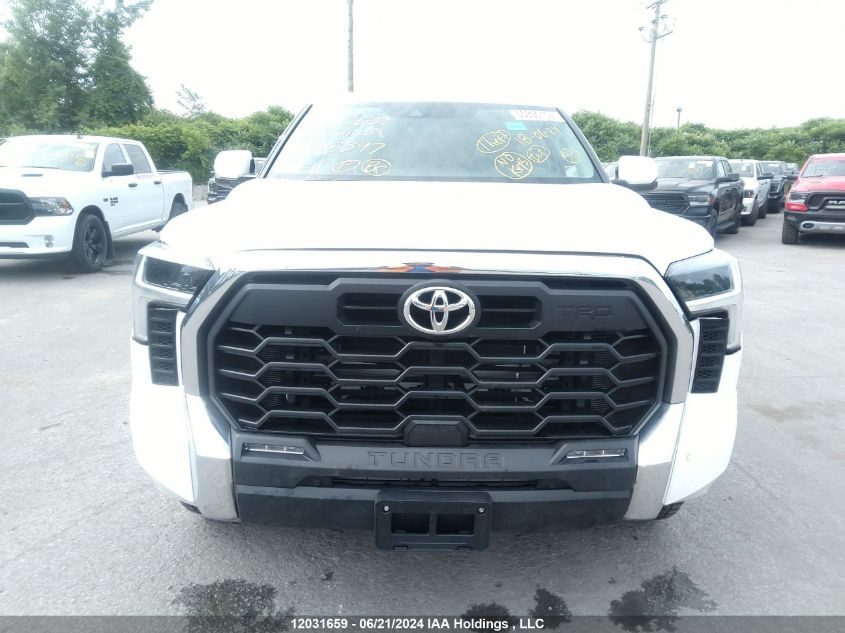 2023 Toyota Tundra VIN: 5TFLA5EC1PX013397 Lot: 12031659