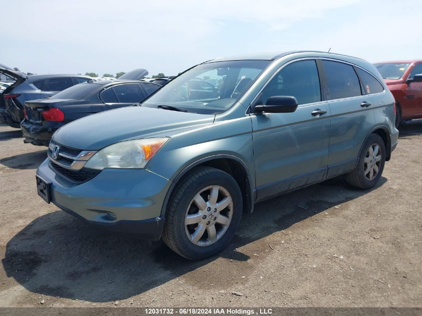 2010 Honda Cr-V VIN: 5J6RE4H32AL816572 Lot: 12031732