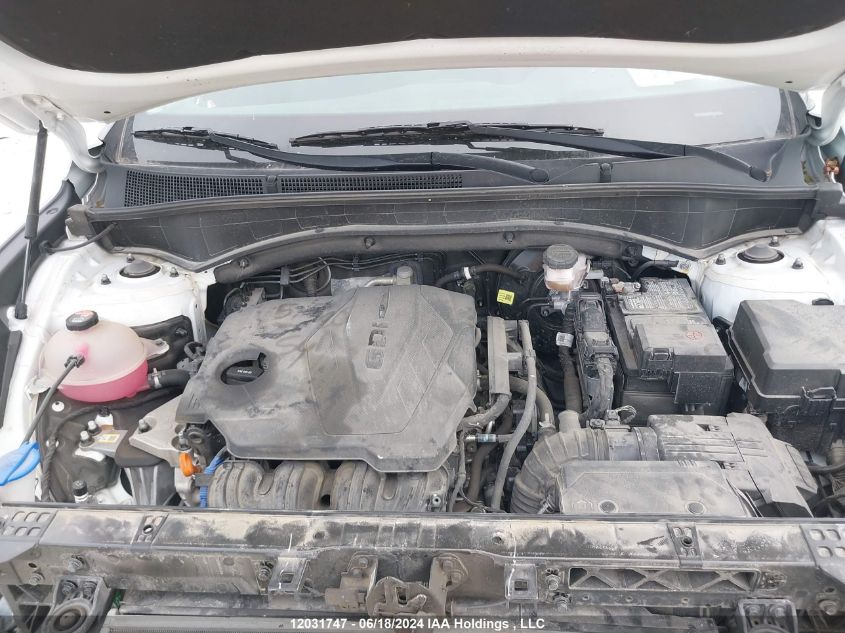 2021 Hyundai Santa Fe Sel VIN: 5NMS3DAJ6MH313753 Lot: 12031747