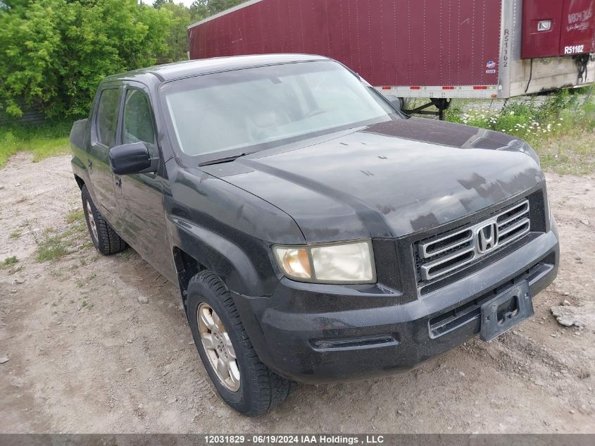 2007 Honda Ridgeline Rtl VIN: 2HJYK16587H001615 Lot: 12031829