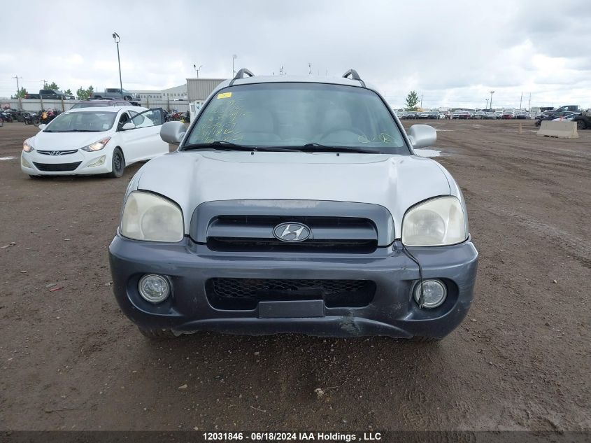 2006 Hyundai Santa Fe Gls/Limited VIN: KM8SB13D26U043159 Lot: 12031846