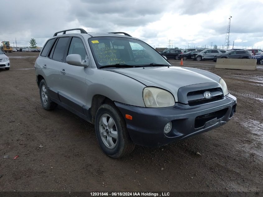 2006 Hyundai Santa Fe Gls/Limited VIN: KM8SB13D26U043159 Lot: 12031846