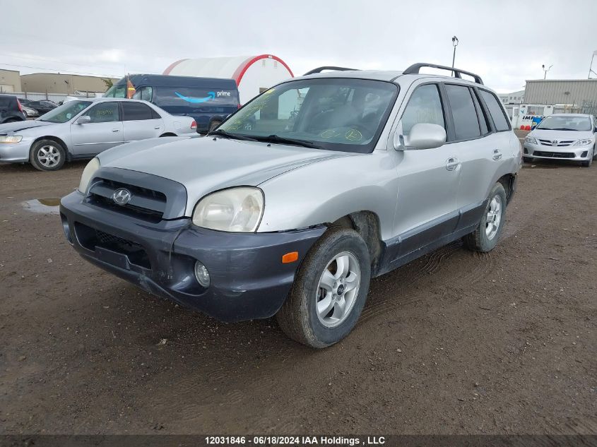 2006 Hyundai Santa Fe Gls/Limited VIN: KM8SB13D26U043159 Lot: 12031846