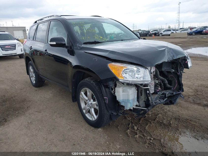 2010 Toyota Rav4 VIN: 2T3BF4DV6AW059085 Lot: 12031946