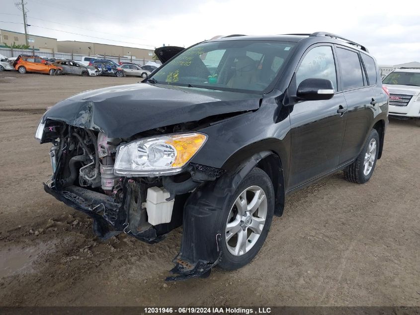 2010 Toyota Rav4 VIN: 2T3BF4DV6AW059085 Lot: 12031946