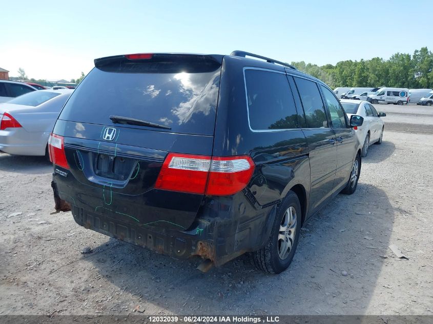 2007 Honda Odyssey Exl VIN: 5FNRL387X7B500745 Lot: 12032039