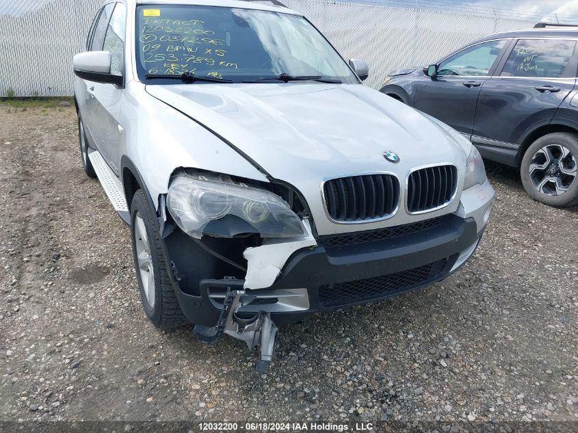 2009 BMW X5 VIN: 5UXFE43549L037296 Lot: 12032200
