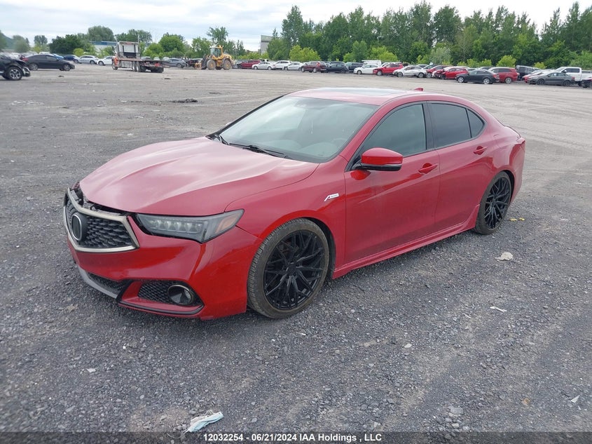2018 Acura Tlx VIN: 19UUB3F67JA800543 Lot: 12032254