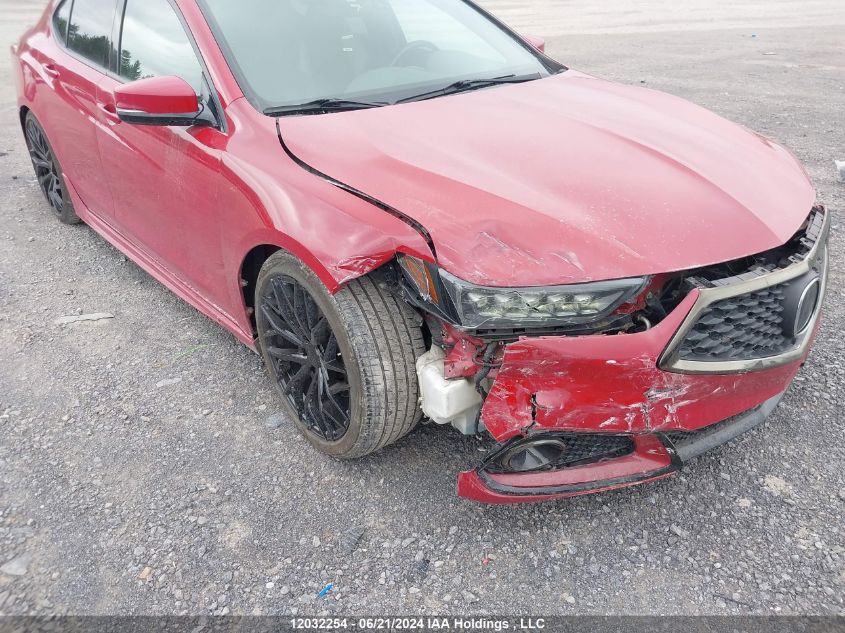 2018 Acura Tlx VIN: 19UUB3F67JA800543 Lot: 12032254