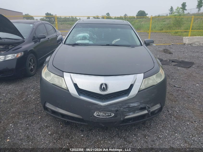 2009 Acura Tl VIN: 19UUA86259A800369 Lot: 12032355