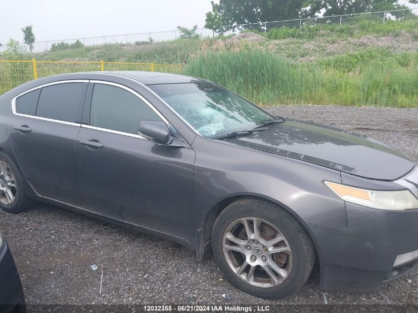 2009 Acura Tl VIN: 19UUA86259A800369 Lot: 12032355