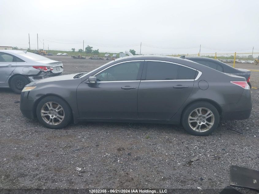 2009 Acura Tl VIN: 19UUA86259A800369 Lot: 12032355