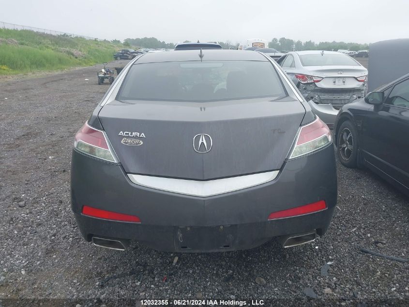 2009 Acura Tl VIN: 19UUA86259A800369 Lot: 12032355