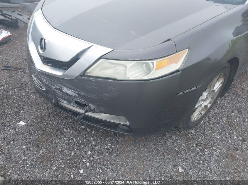 2009 Acura Tl VIN: 19UUA86259A800369 Lot: 12032355