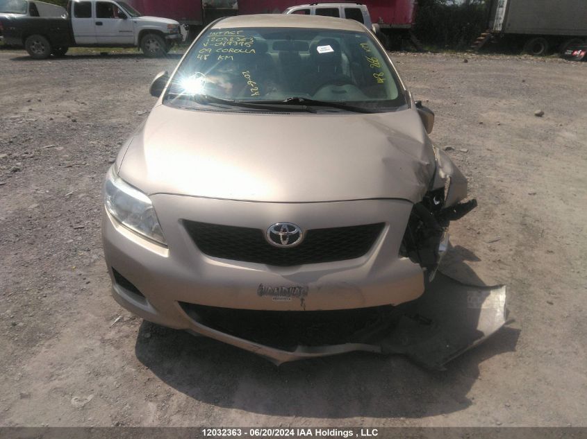 2009 Toyota Corolla VIN: 2T1BU40E29C049395 Lot: 12032363