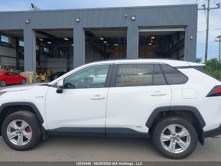 2021 Toyota Rav4 Xle VIN: 2T3RWRFVXMW124923 Lot: 12032440