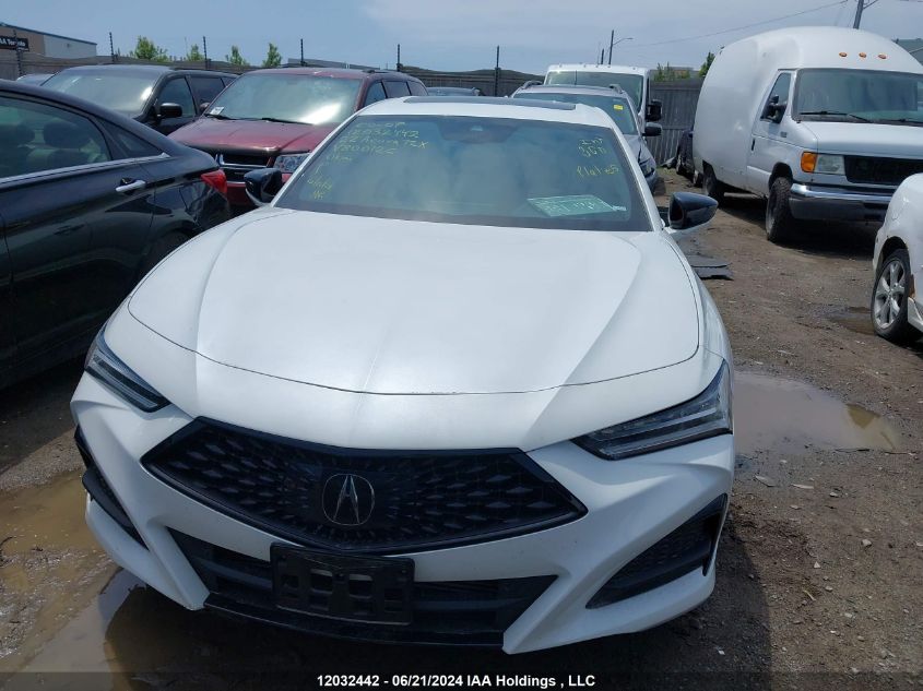 2022 Acura Tlx VIN: 19UUB6F54NA800126 Lot: 12032442