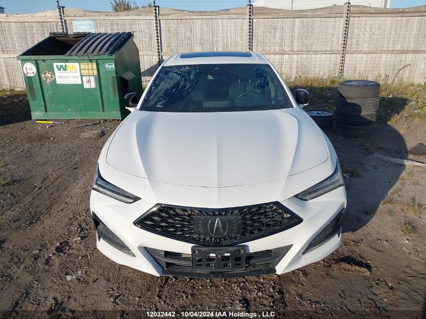 2022 Acura Tlx VIN: 19UUB6F54NA800126 Lot: 12032442