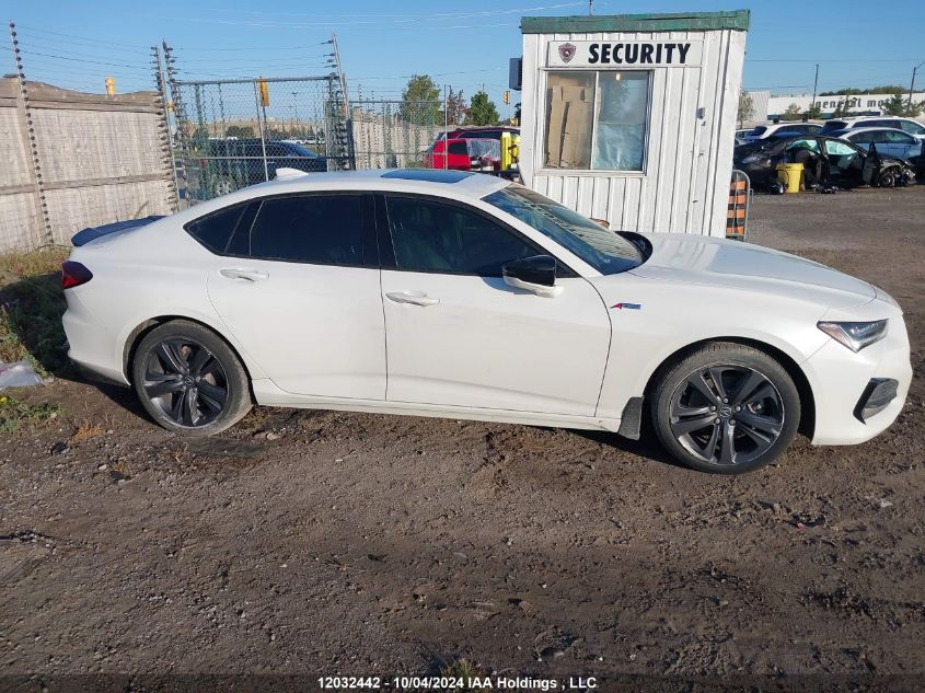 2022 Acura Tlx VIN: 19UUB6F54NA800126 Lot: 12032442