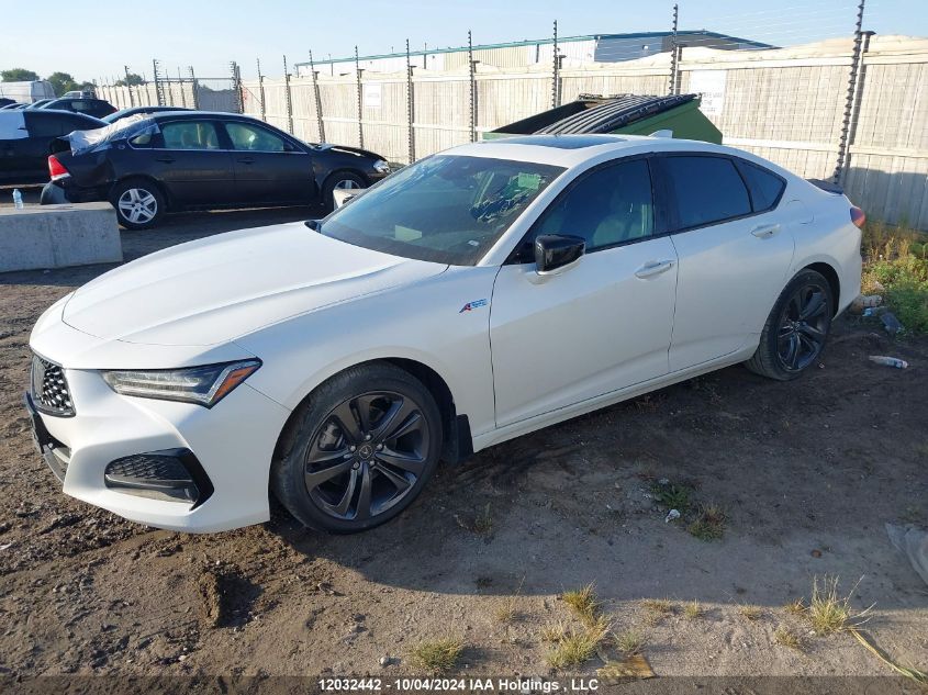 2022 Acura Tlx VIN: 19UUB6F54NA800126 Lot: 12032442