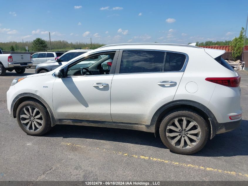 2017 Kia Sportage VIN: KNDPNCAC7H7092219 Lot: 12032479