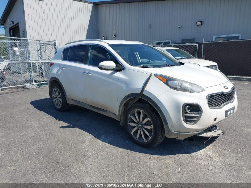 2017 Kia Sportage VIN: KNDPNCAC7H7092219 Lot: 12032479