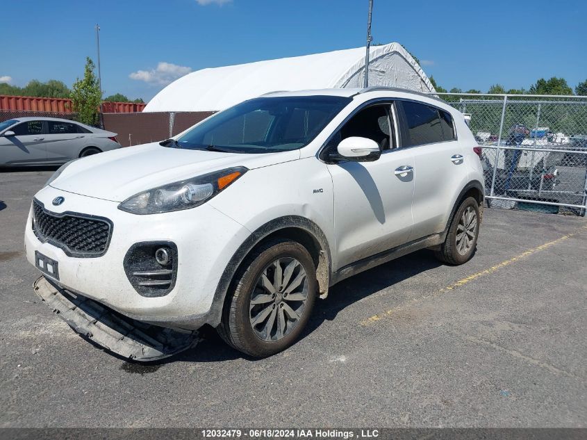 2017 Kia Sportage VIN: KNDPNCAC7H7092219 Lot: 12032479