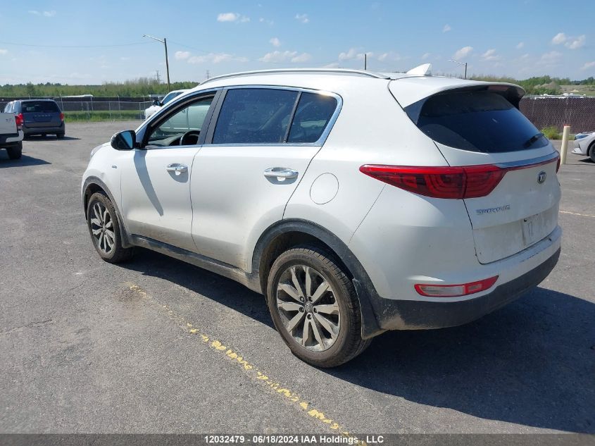 2017 Kia Sportage VIN: KNDPNCAC7H7092219 Lot: 12032479