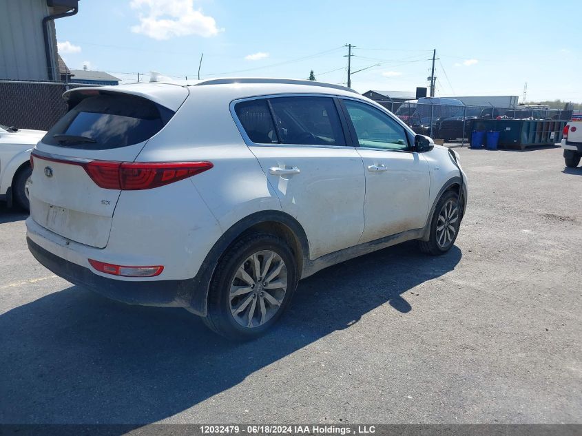 2017 Kia Sportage VIN: KNDPNCAC7H7092219 Lot: 12032479