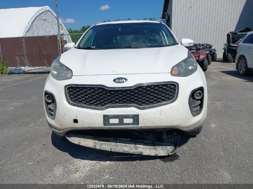 2017 Kia Sportage VIN: KNDPNCAC7H7092219 Lot: 12032479