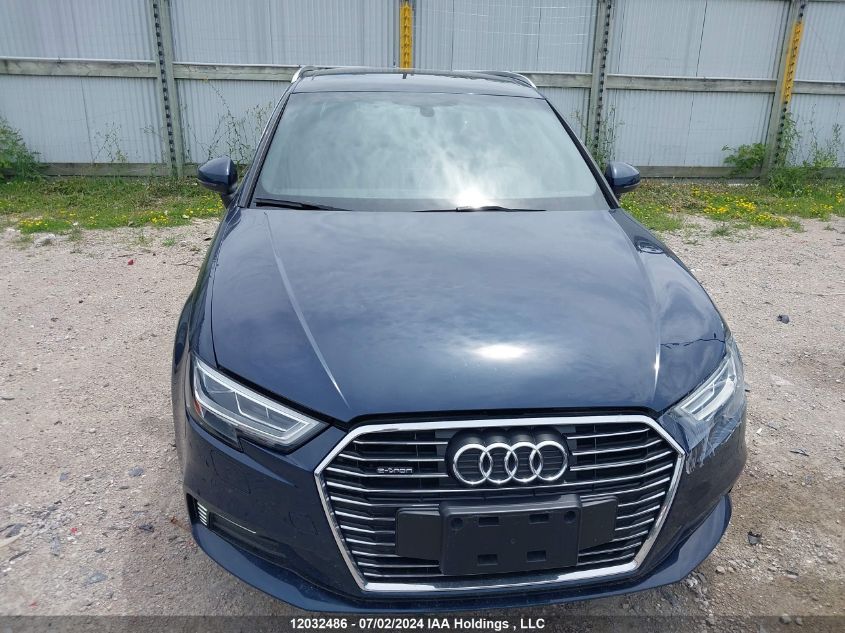 2017 Audi A3 E-Tron VIN: WAUSPBFF2HA146981 Lot: 12032486