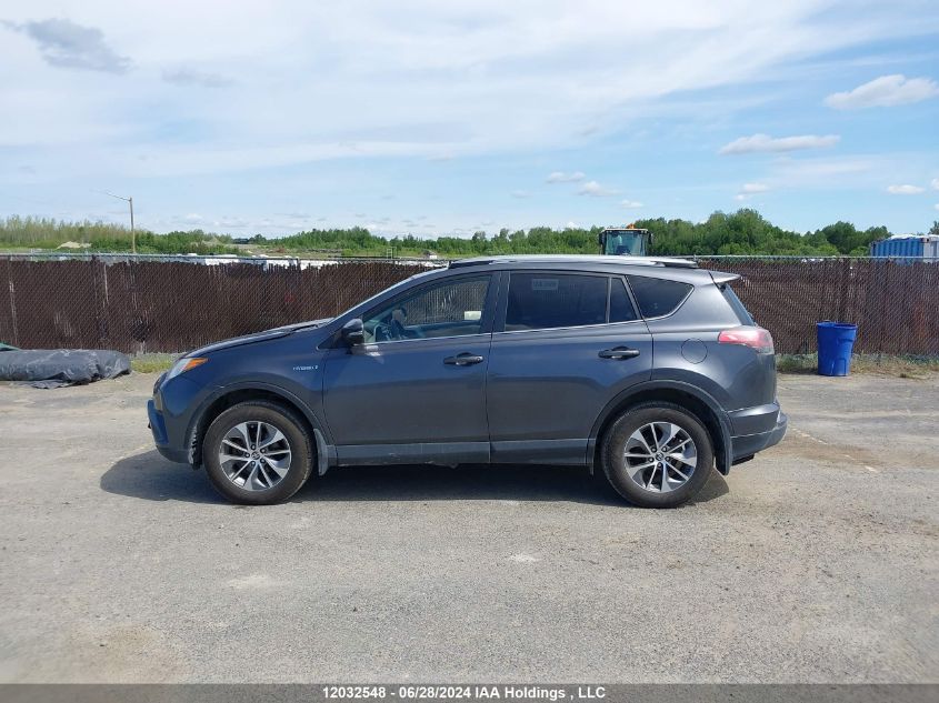 2017 Toyota Rav4 VIN: JTMRJREV1HD062041 Lot: 12032548