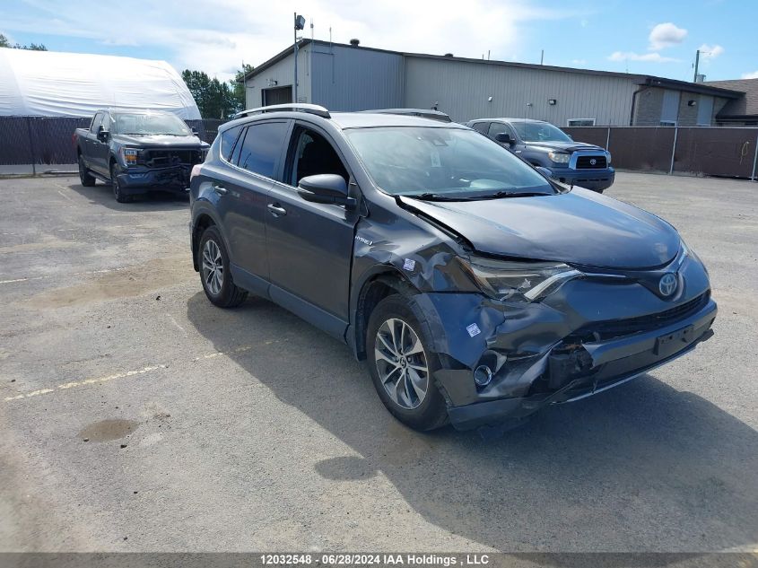 2017 Toyota Rav4 VIN: JTMRJREV1HD062041 Lot: 12032548