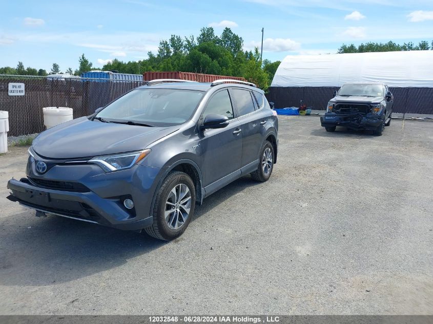 2017 Toyota Rav4 VIN: JTMRJREV1HD062041 Lot: 12032548