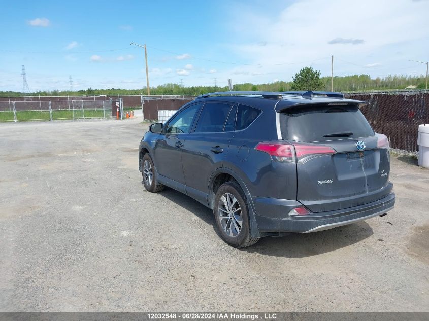 2017 Toyota Rav4 VIN: JTMRJREV1HD062041 Lot: 12032548