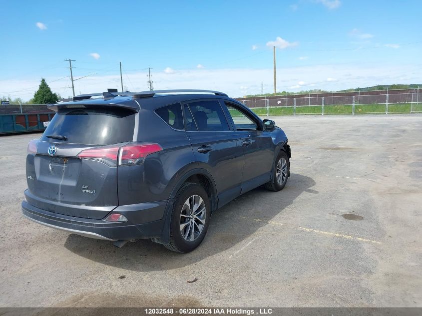 2017 Toyota Rav4 VIN: JTMRJREV1HD062041 Lot: 12032548