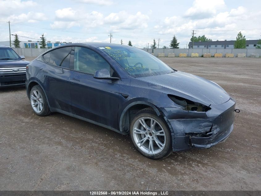 2023 Tesla Model Y VIN: 7SAYGDEE0PF672648 Lot: 12032568