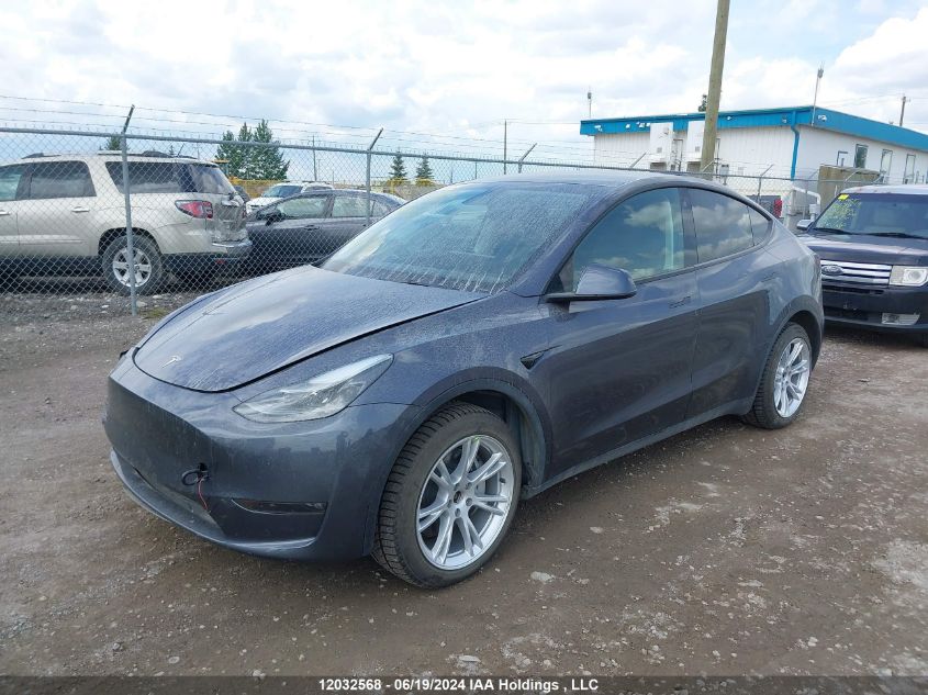 2023 Tesla Model Y VIN: 7SAYGDEE0PF672648 Lot: 12032568