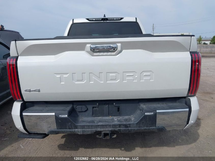 2022 Toyota Tundra Hybrid Platinum VIN: 5TFMC5DB6NX003405 Lot: 12032682