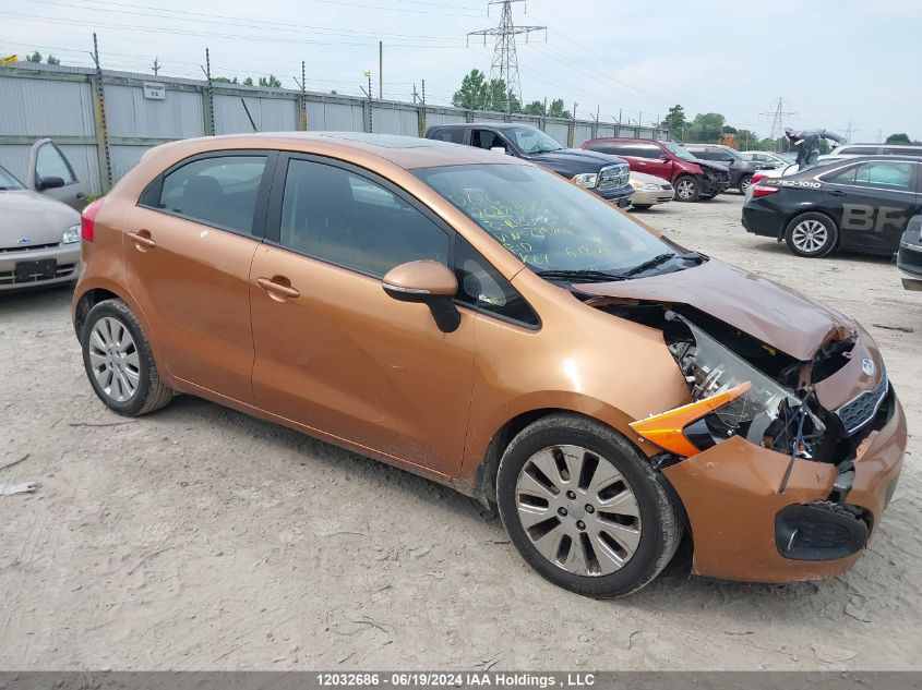 2013 Kia Rio Ex/Sx VIN: KNADN5A38D6799700 Lot: 12032686