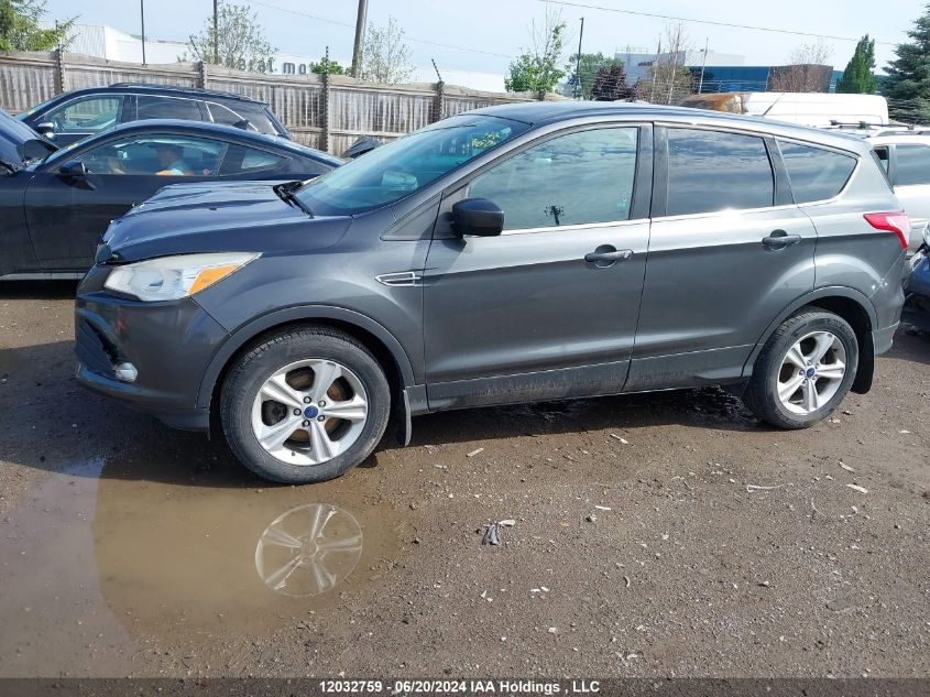 2016 Ford Escape VIN: 1FMCU9G97GUA71236 Lot: 12032759