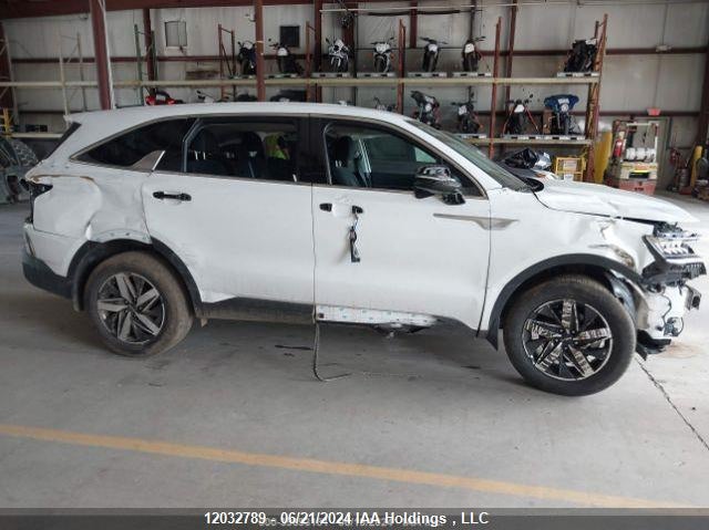 2023 Kia Sorento VIN: 5XYRGDLC7PG167105 Lot: 12032789