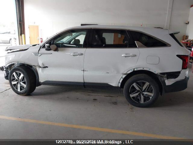 2023 Kia Sorento VIN: 5XYRGDLC7PG167105 Lot: 12032789